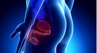 [DaoSchool] Исцеление мужской половой системы_0.png